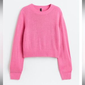 NWOT H&M Fine-Knit Sweater